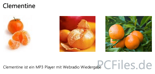 Download und Infos und Anleitung in deutsch zu Clementine