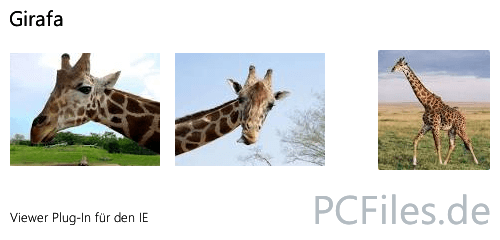 Download und Infos und Anleitung in deutsch zu Girafa
